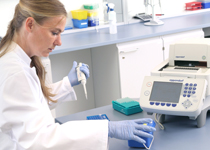 PCR Basiskurs