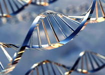 DNA Sequenzierung