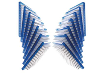 Multiplex PCR