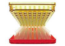 PCR in der Gendiagnostik