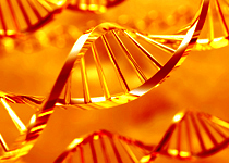 Next Generation Sequencing