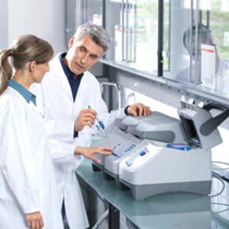 Training PCR Eppendorf plates