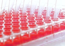 Virologie -Transduktion