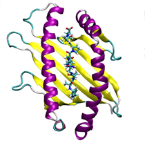 Protein-Protein-Protein-Interaktion-PPI-Chromatographie