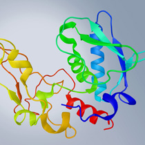 Proteinanalyse ELISA Kurse In-house Schulungen Protein Struktur