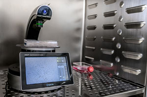 Live Cell Imaging Mikroskop July Inkubator