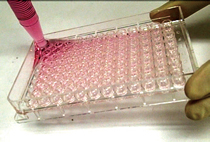 PHCbi 3D cell culture 96 slit well plate medium change
