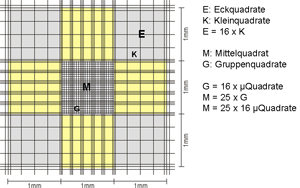 Neubauerkammer Zählfelder