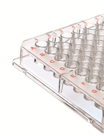 Brand transparent 96 well Microtiter Multiwell Plate with colored labels